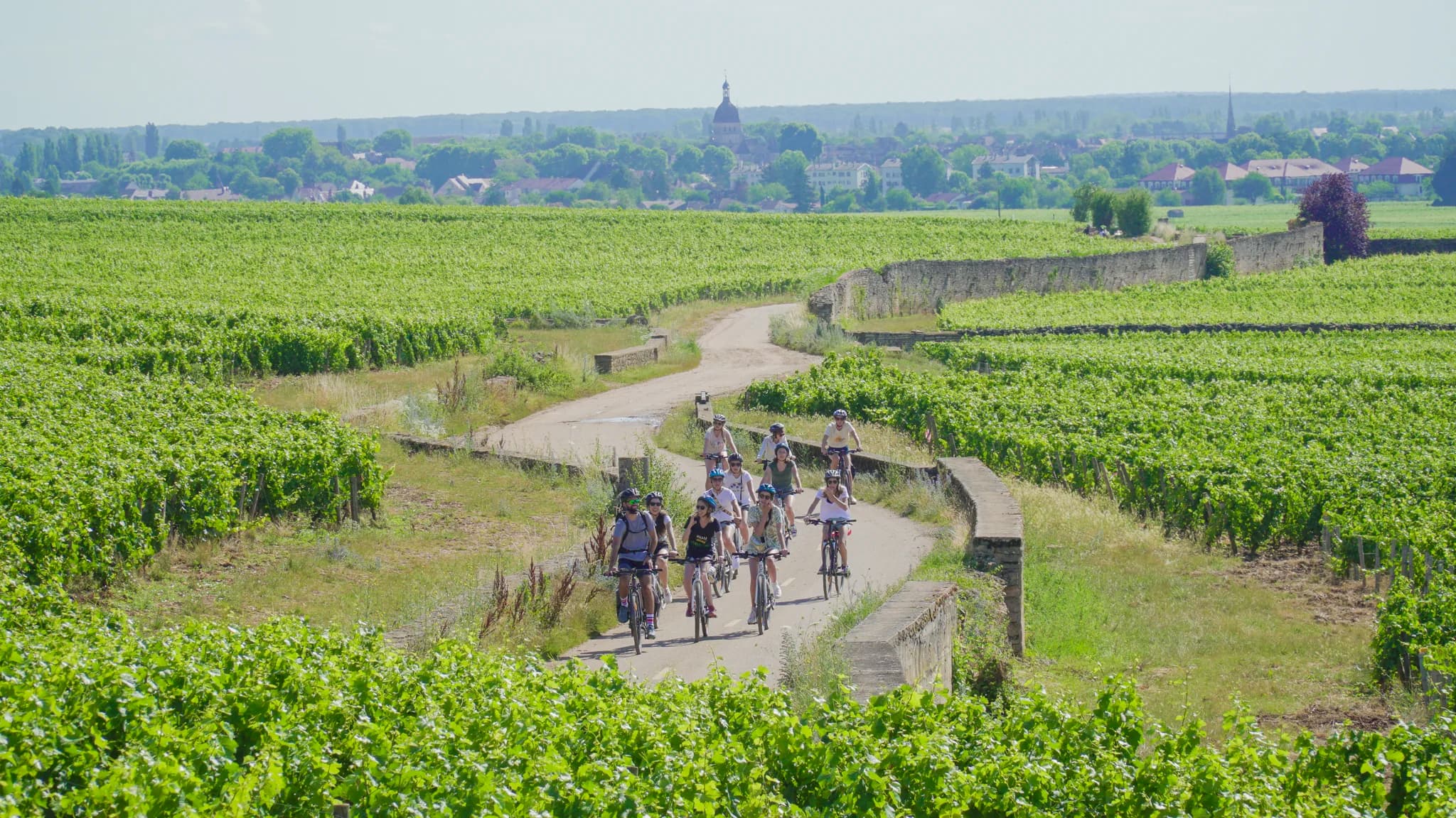 Cycle the Wine Trails of Burgundy