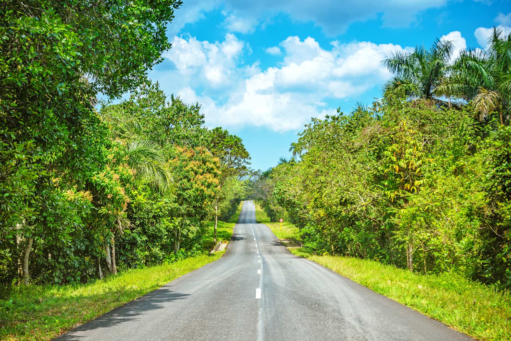 Country road in Cuba Photo: GettyImages-506121768