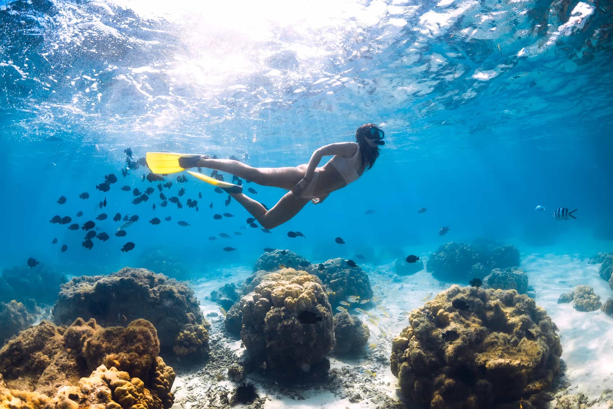 Free diver girl glides with school of fishes in blue ocean Image: GettyImages-1193893480