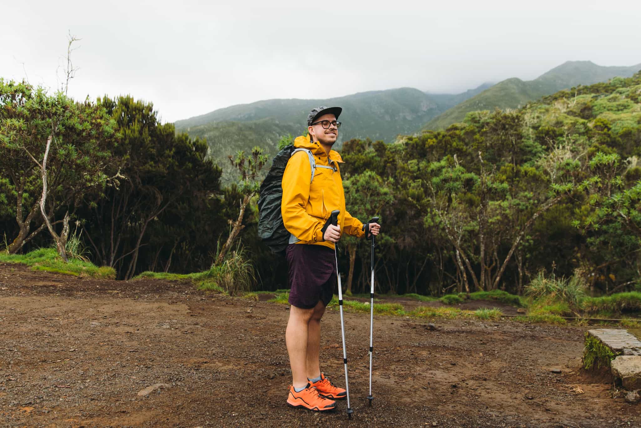 Hiker in the forest below Kilimanjaro. Photo: GettyImages-1306666146