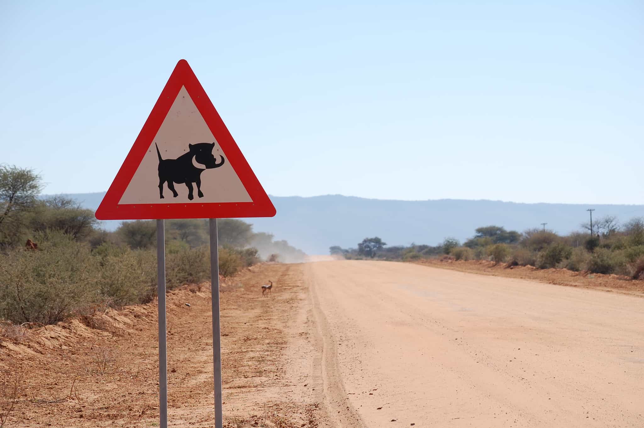 A road sign warning of warthogs on the dusty road ahead, Namibia