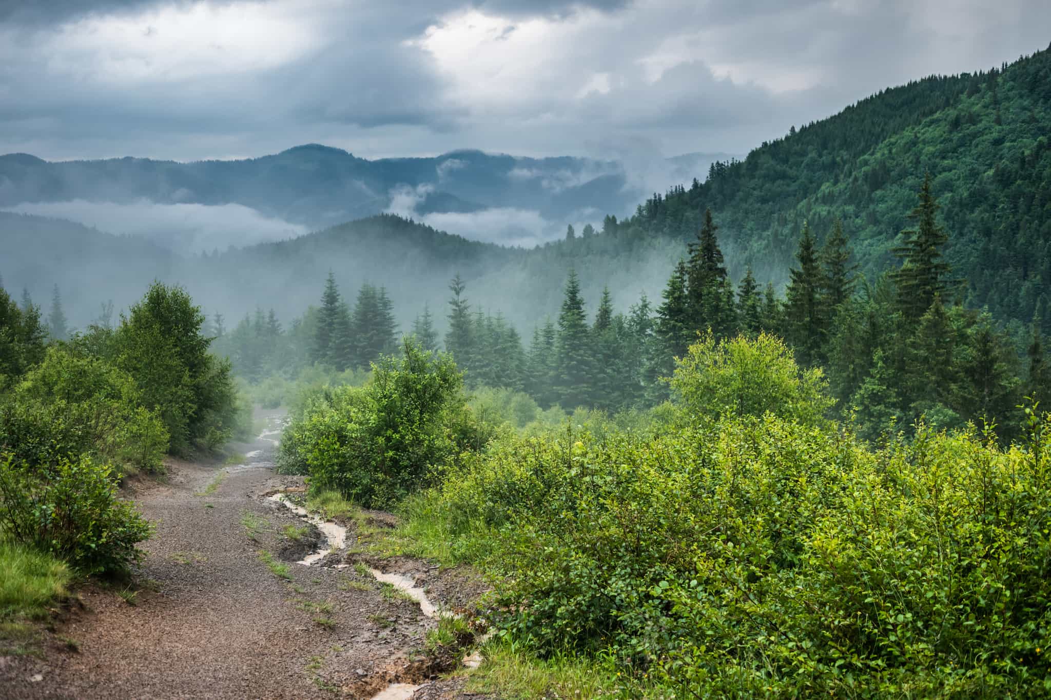 GettyImages-1255026420