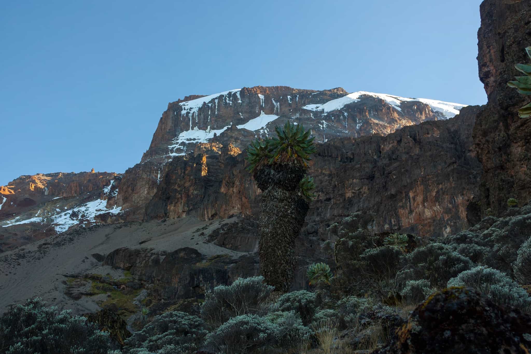 Barranco Wall, Kilimanjaro. Photo: GettyImages-451815275