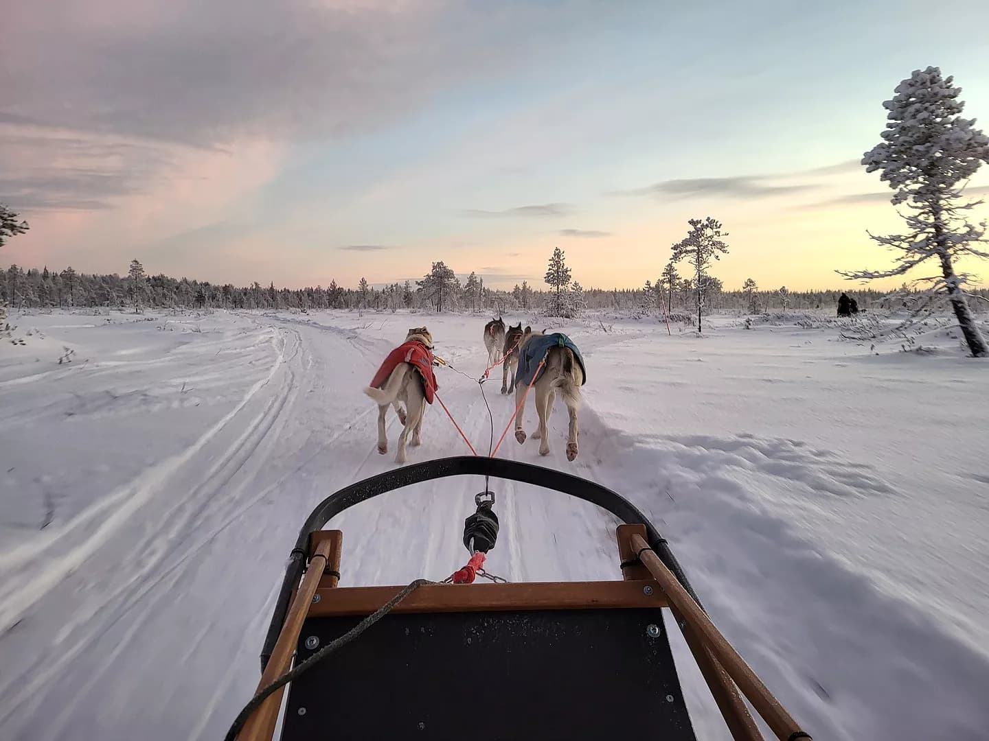 Winter Adventure in Finnish Lapland