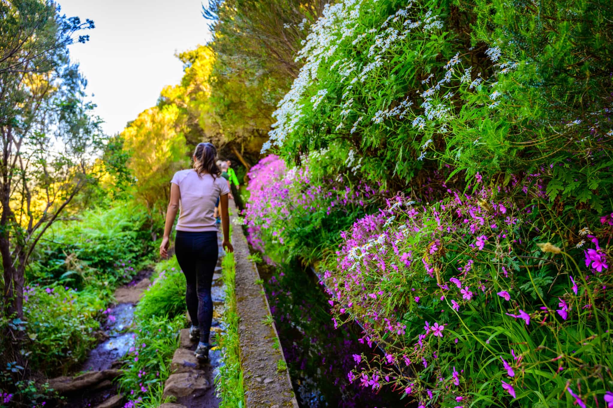 Levada trails of Madeira. Photo: Shutterstock-1610287138