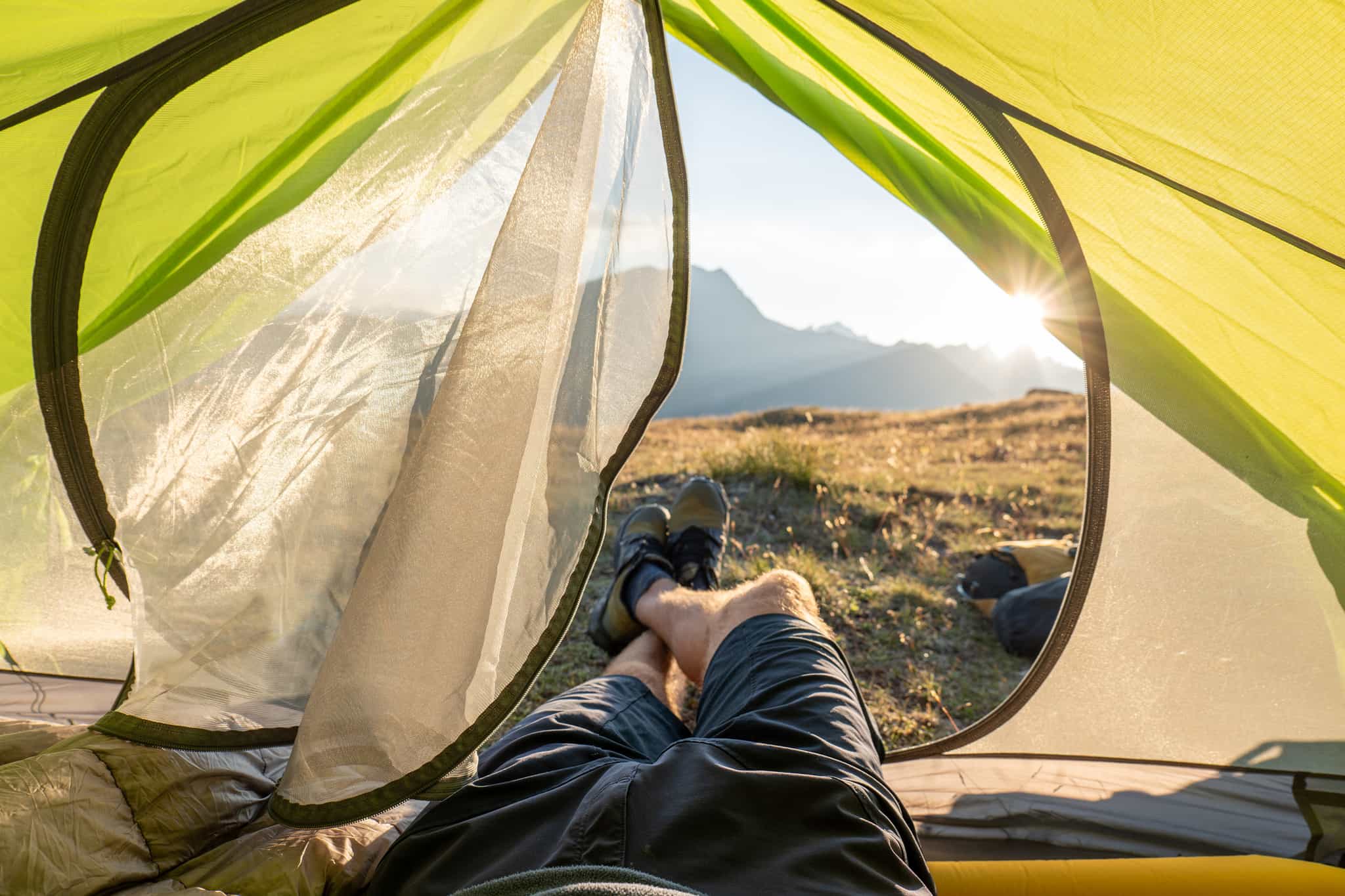 New Zealand. Photo: GettyImages-1551152356