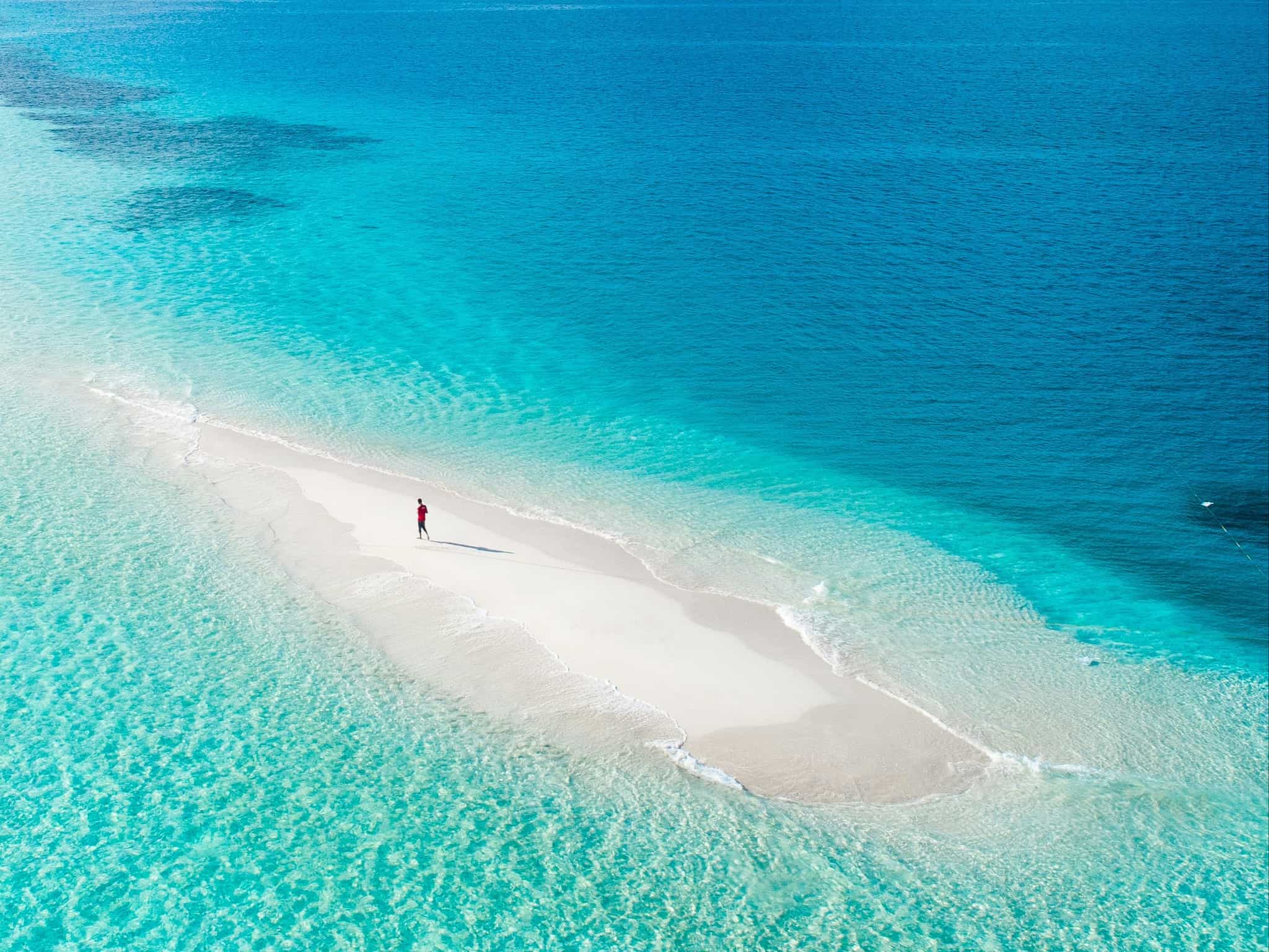 Sandbank, Maldives. Photo: Host/Secret Paradise