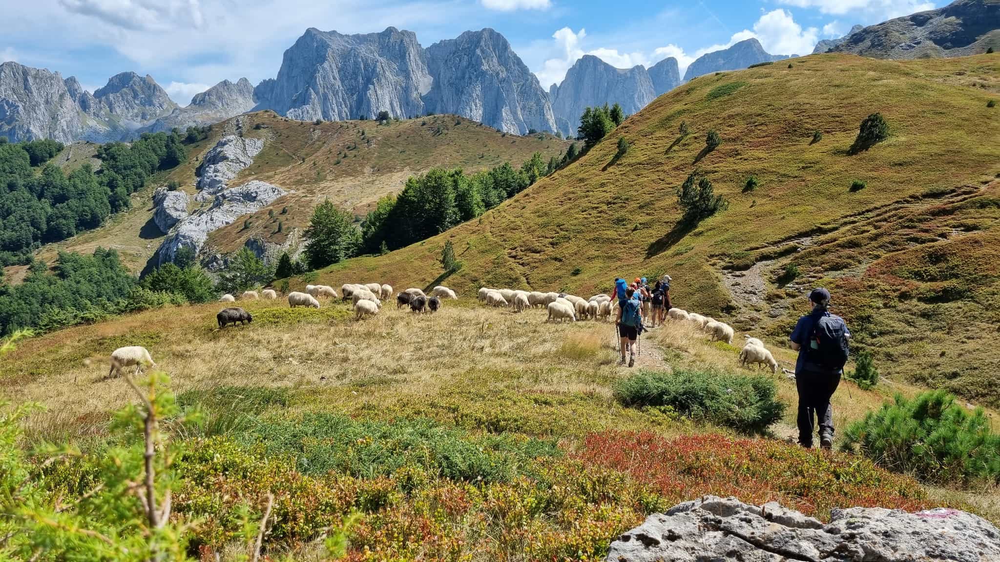 Sheperds and mountains in Albania. Photo: host, Zbulo