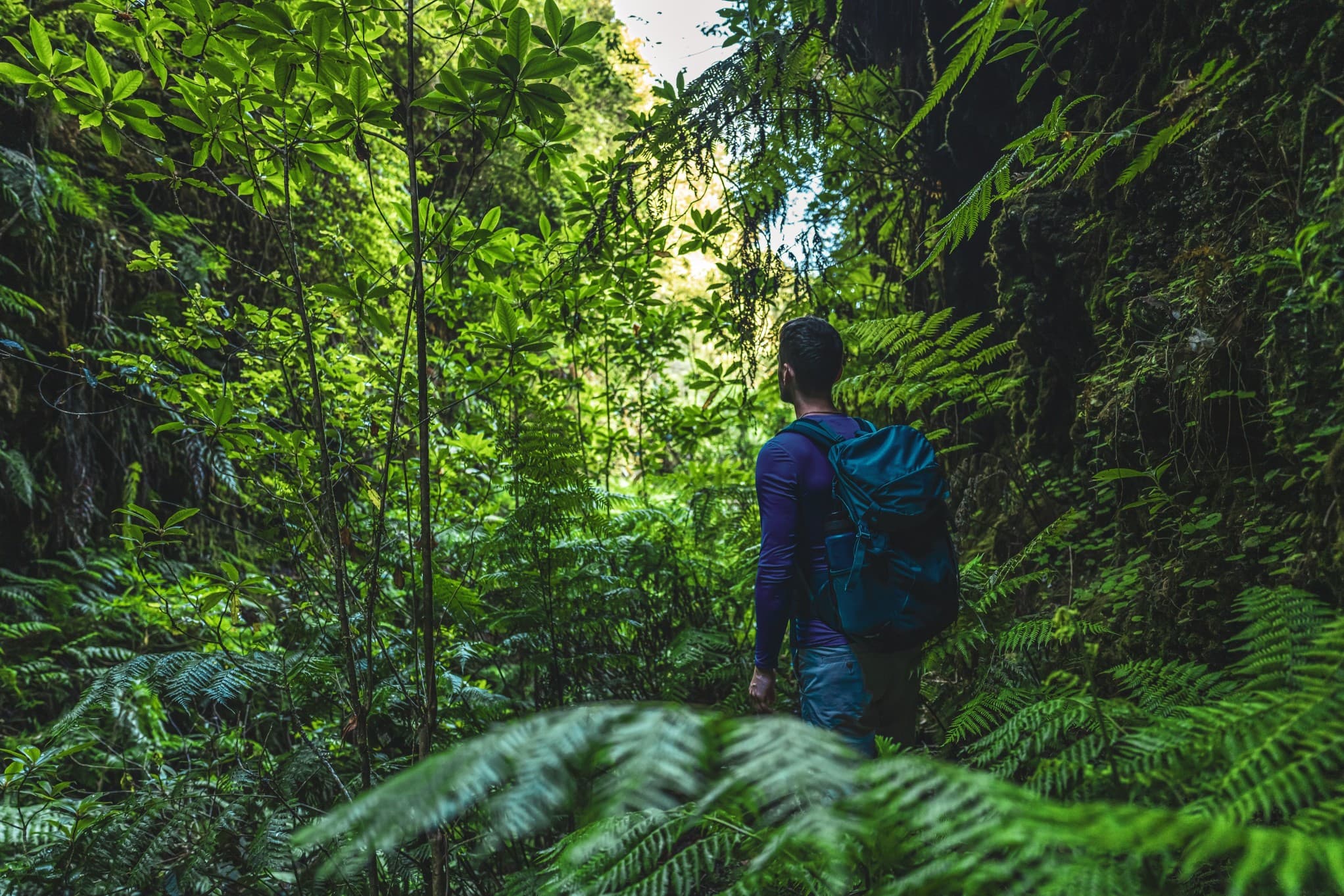 Trek the Camino de Costa Rica