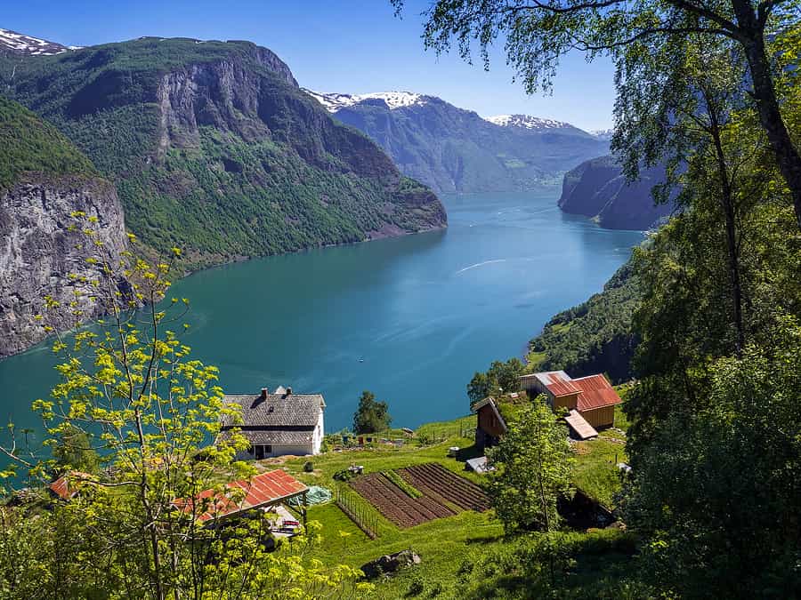 Stigen Farm, Aurlandsfjord, Norway. Photo: Nordic Ventures