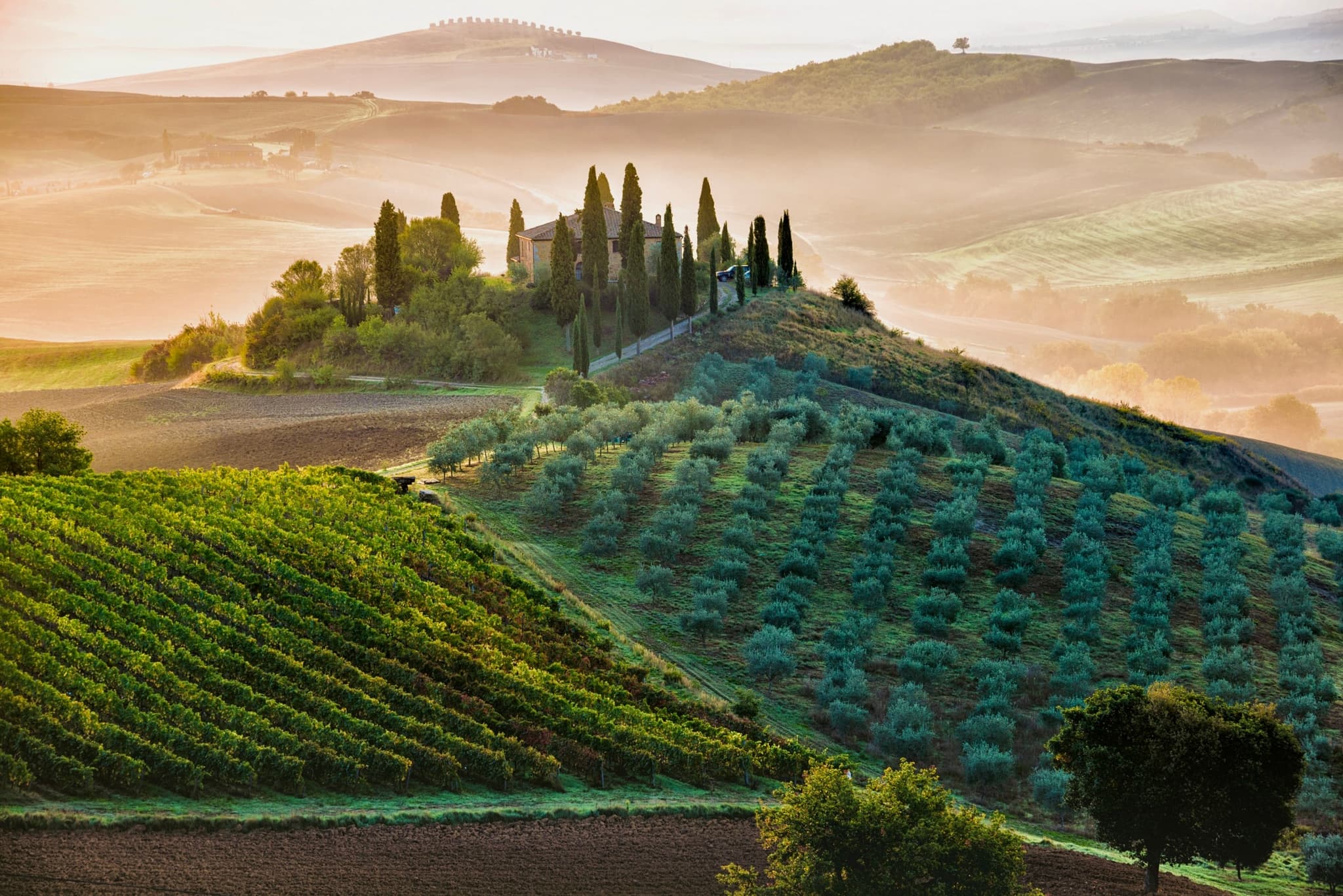 Hike, E-Bike and Wine in Tuscany