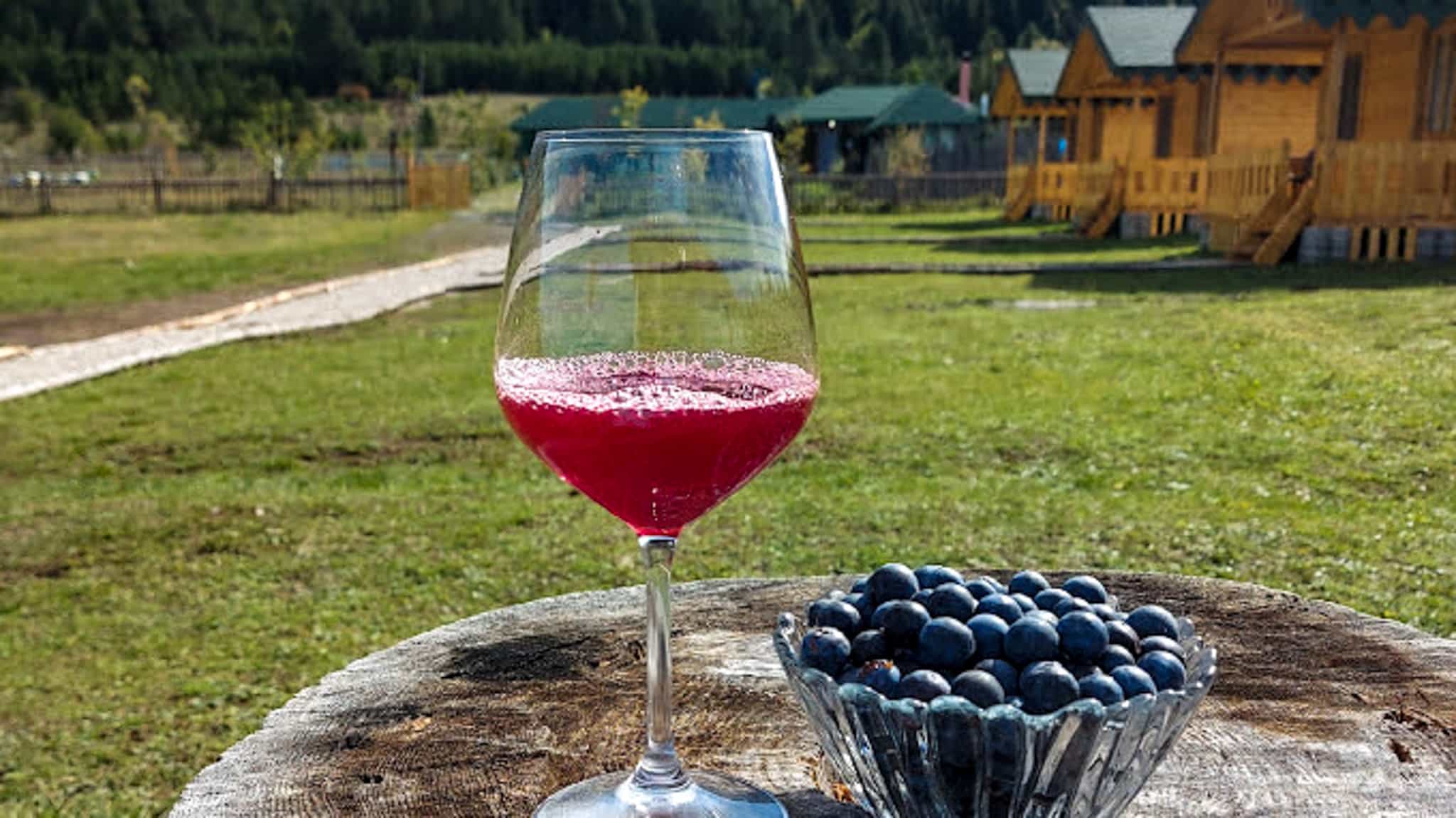 Grounds Camping Farm Shelegur, Sotire, Albania Photo: Host/Zbulo Discover Albania