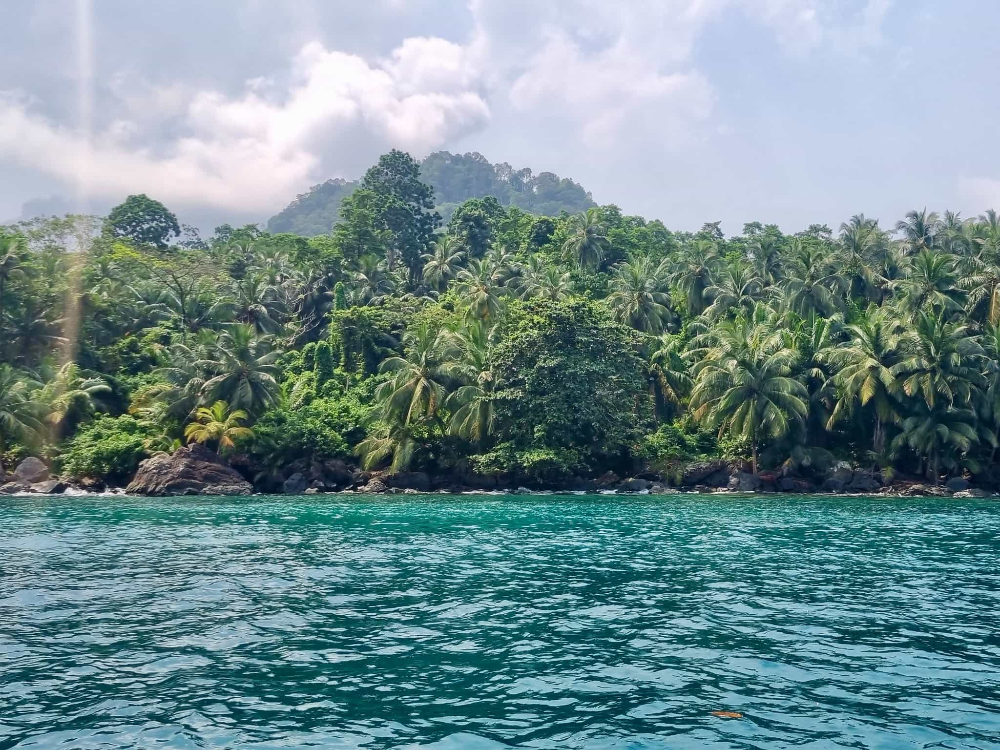 Coastline and palms, Principe Island