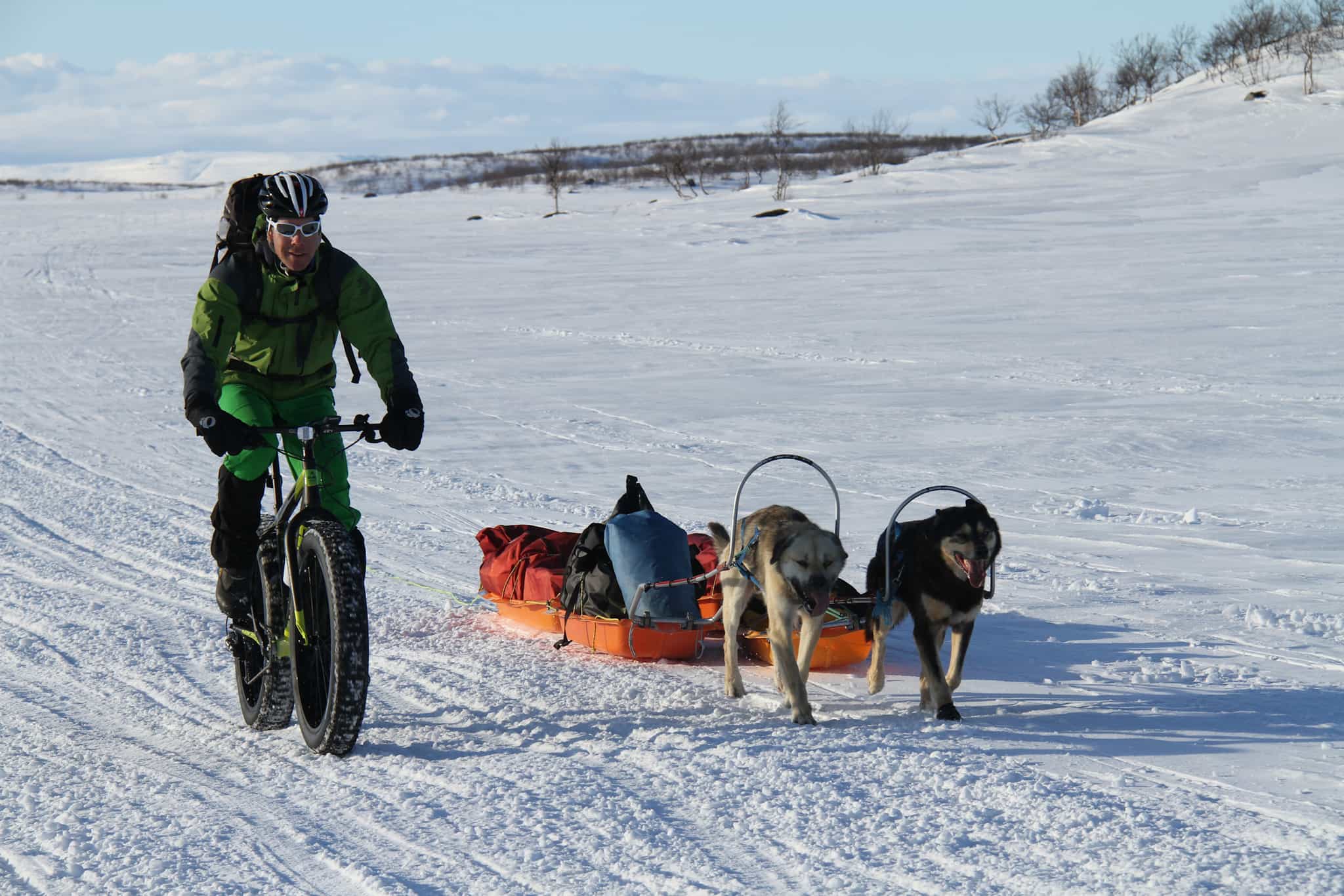 Fat biking in the Arctic, Norway Photo: Host/GLØD Explorer