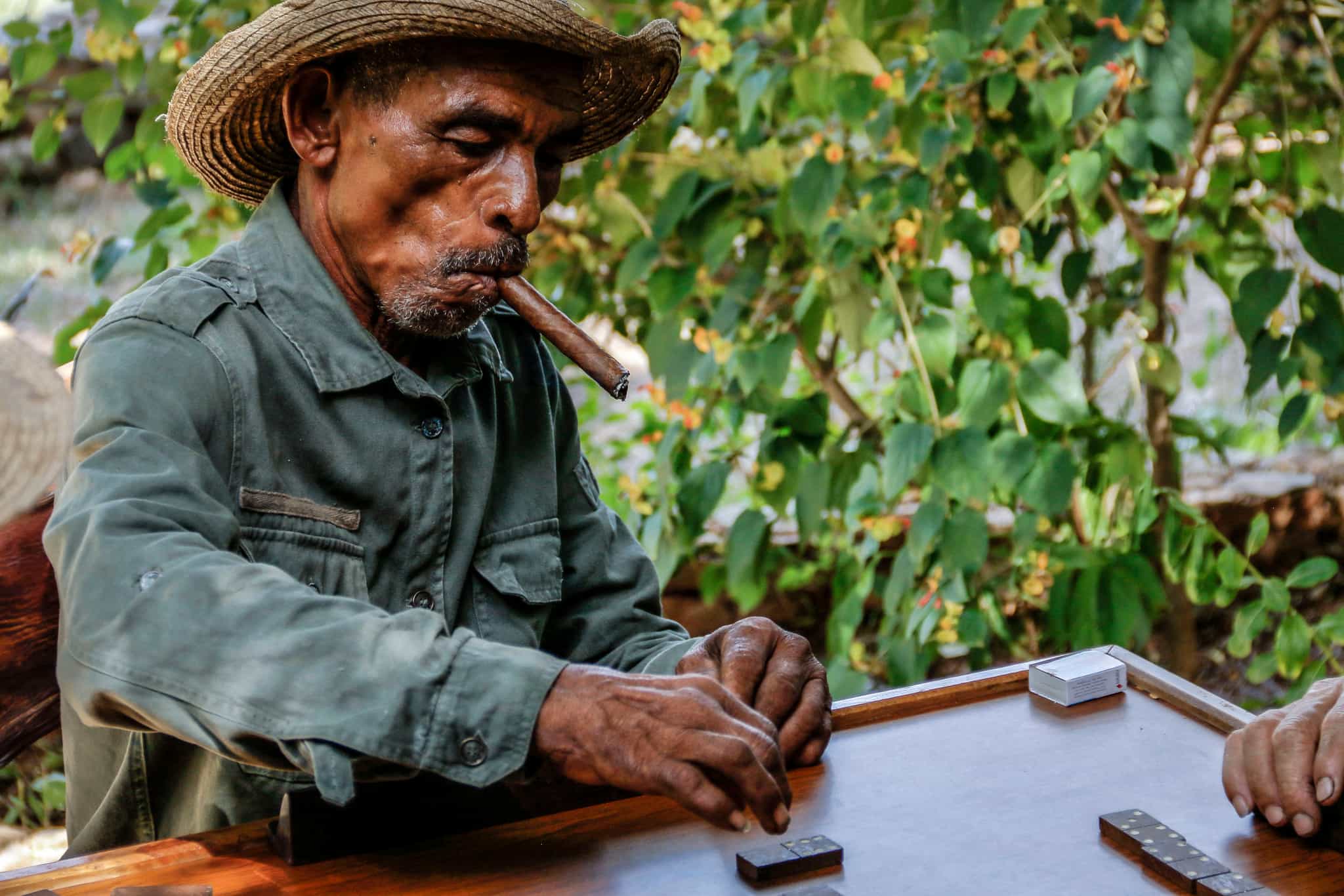 Cuban man smoking a cigar and playing dominoes. Photo: Host/Cubania