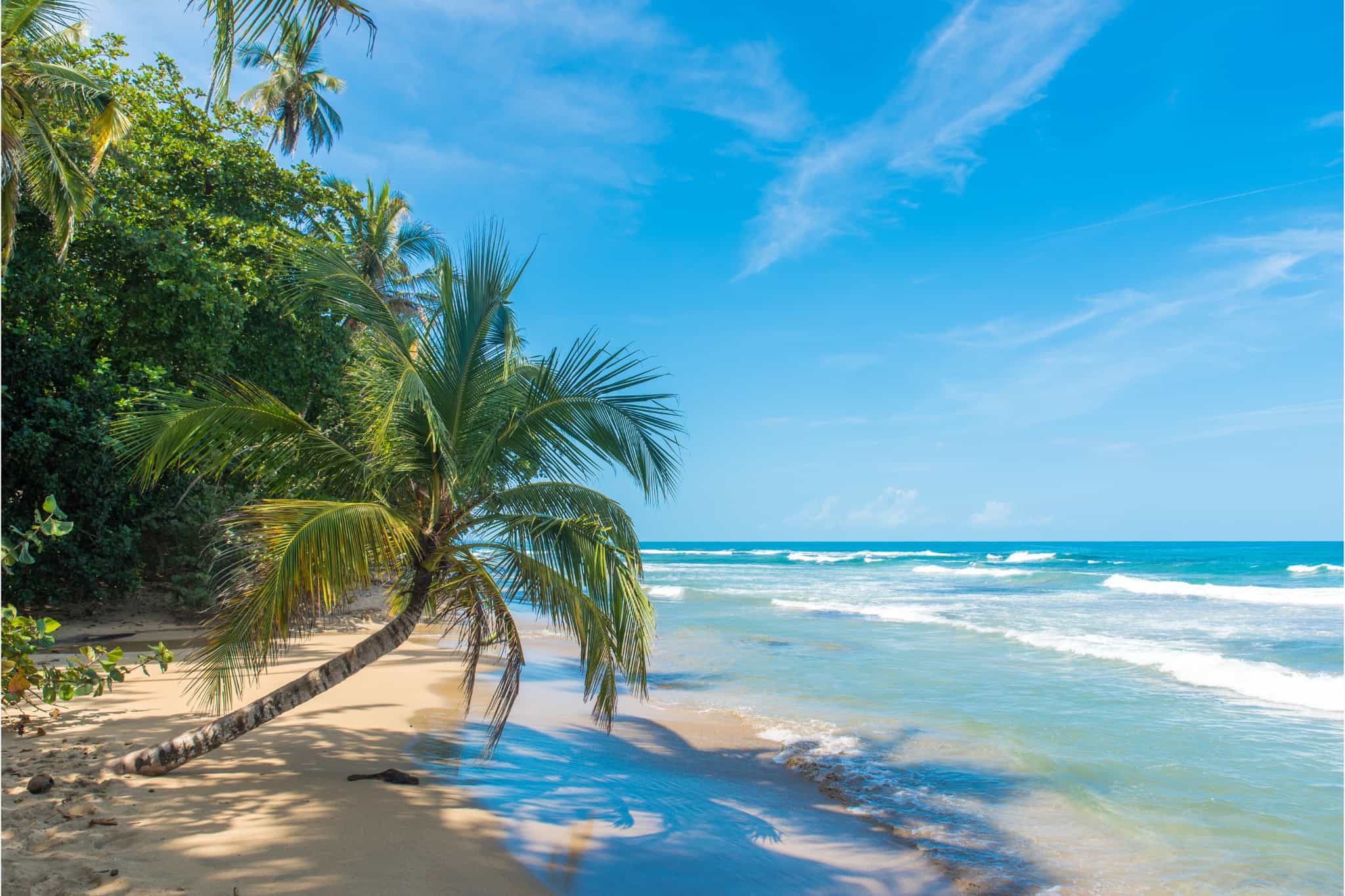 Caribbean Sea, Costa Rica. Photo: Canva/https://www.canva.com/photos/MADar0HDQhE-playa-chiquita-beach-close-to-puerto-viejo-costa-rica/