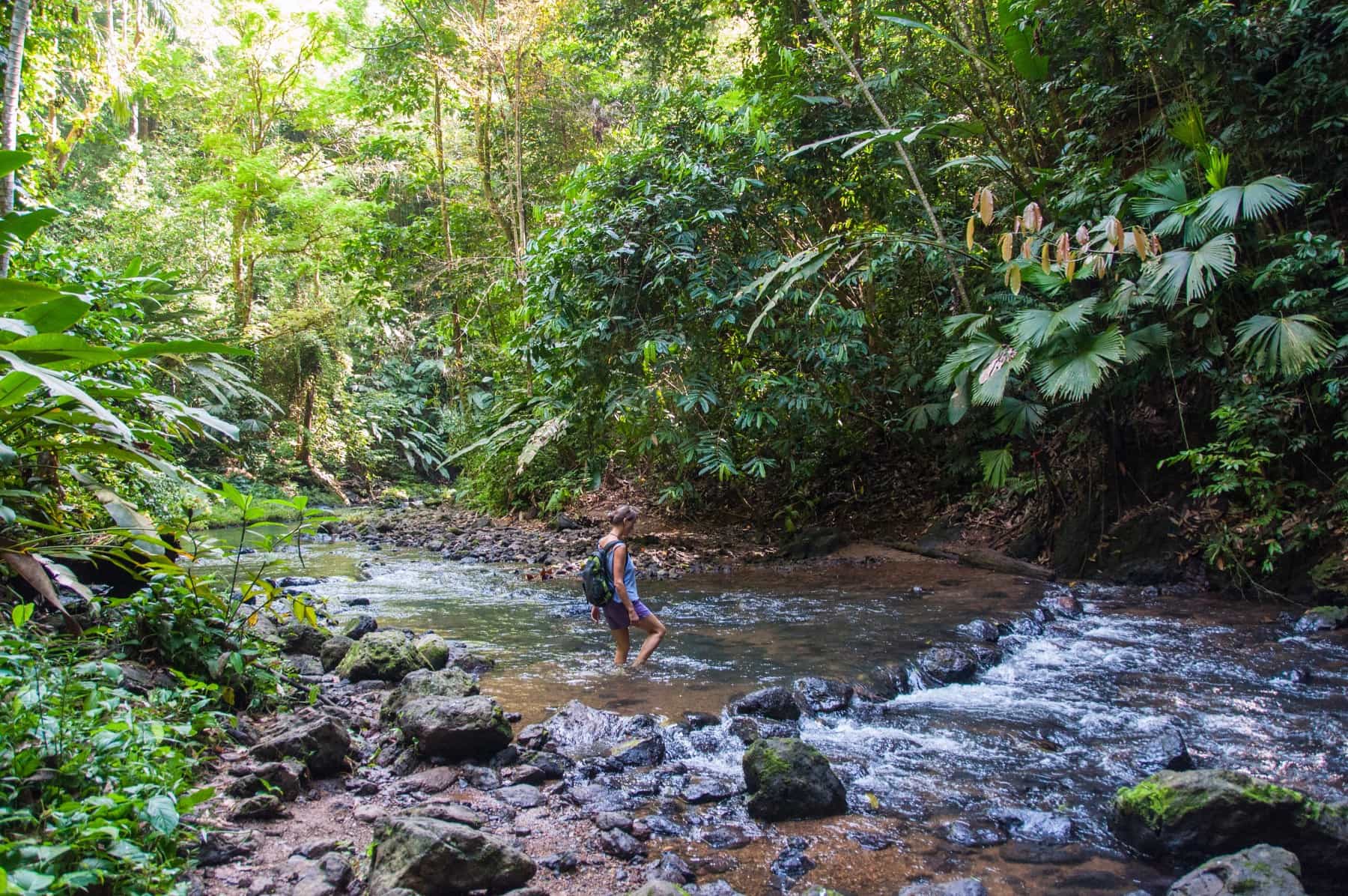 Costa Rica Hiking. Photo: GettyImages-471807412