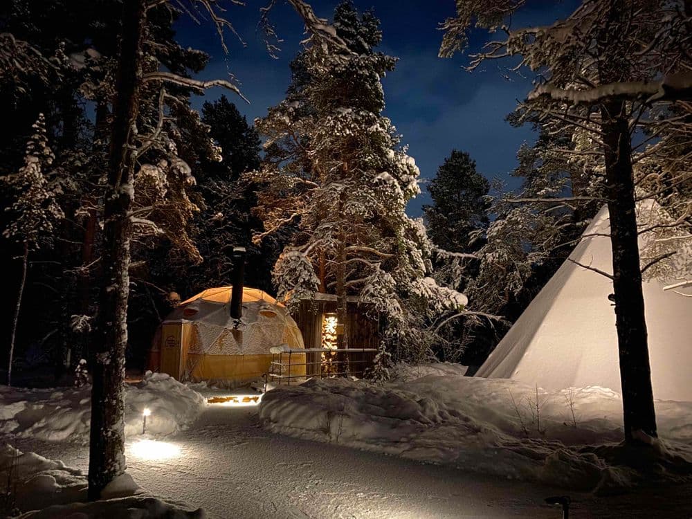 Aurora dome in the forest. All rights belong to Emma.