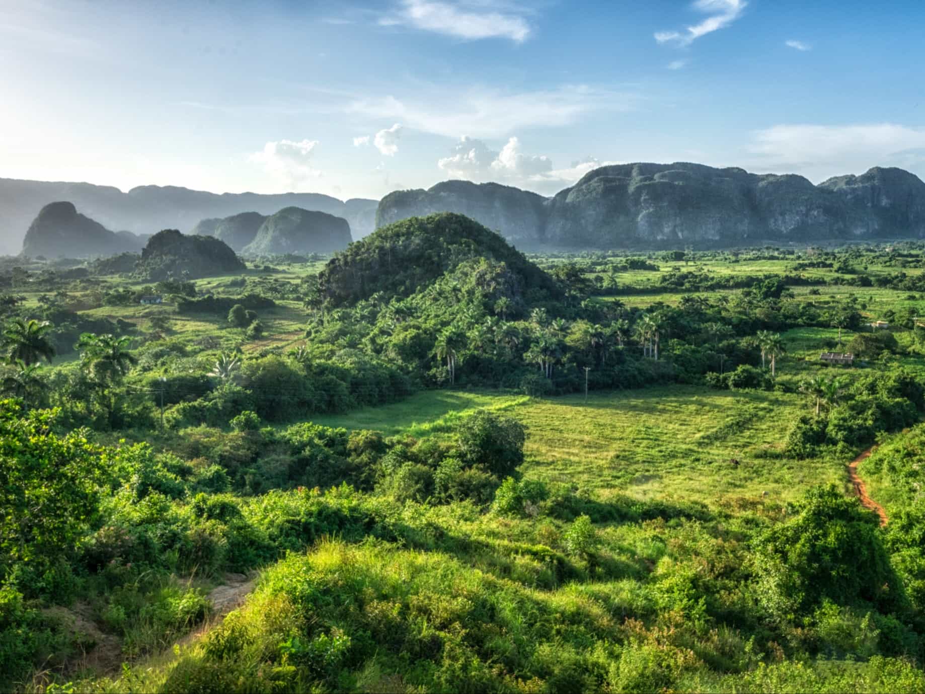 Panoramic view of the mogotes of Viñalles Valley in Cuba, Photo: Getty 1330901594