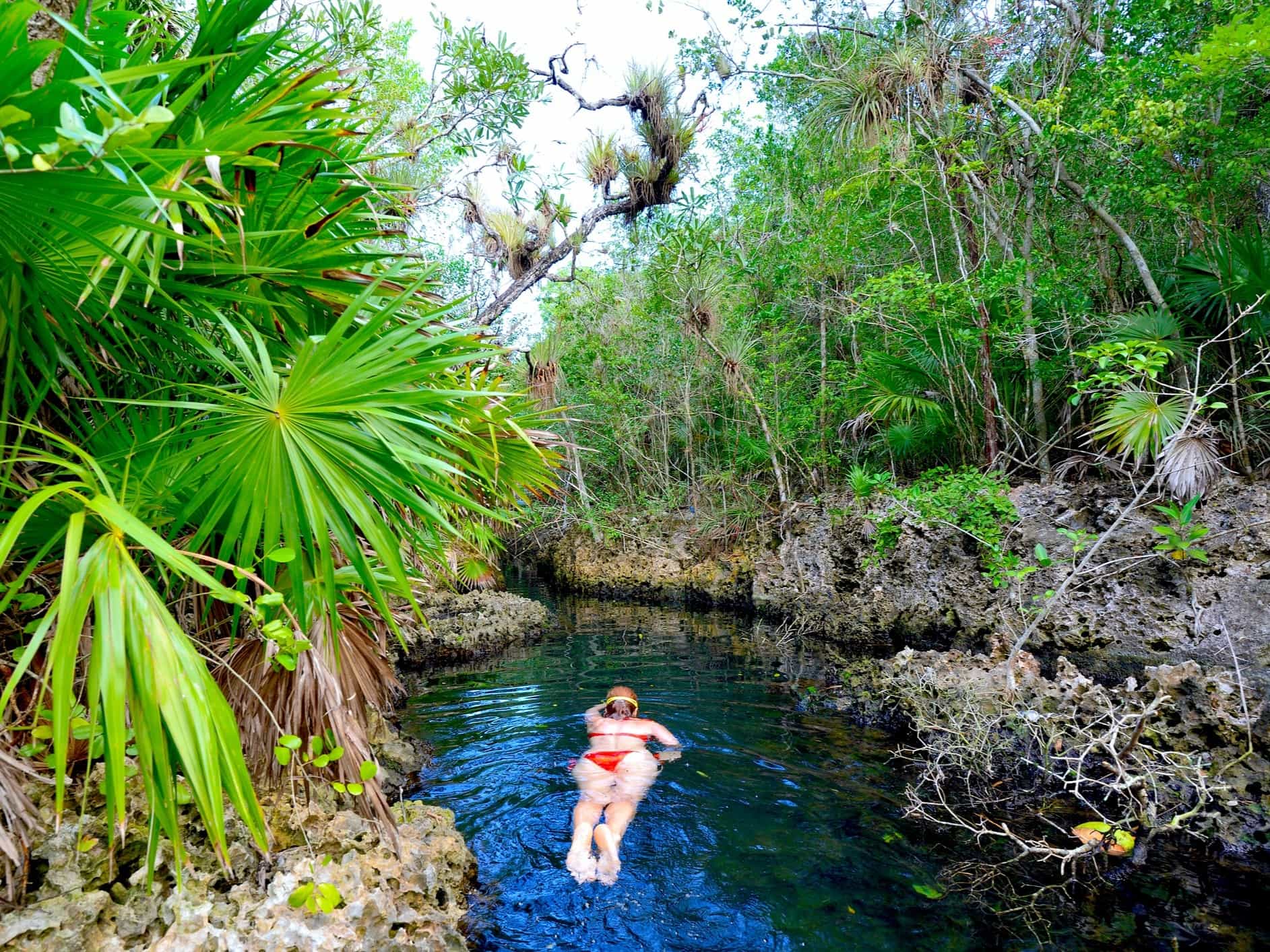 Woman snorkeling at Cueva de los Peces cenote in Cuba, Photo Getty 955968578