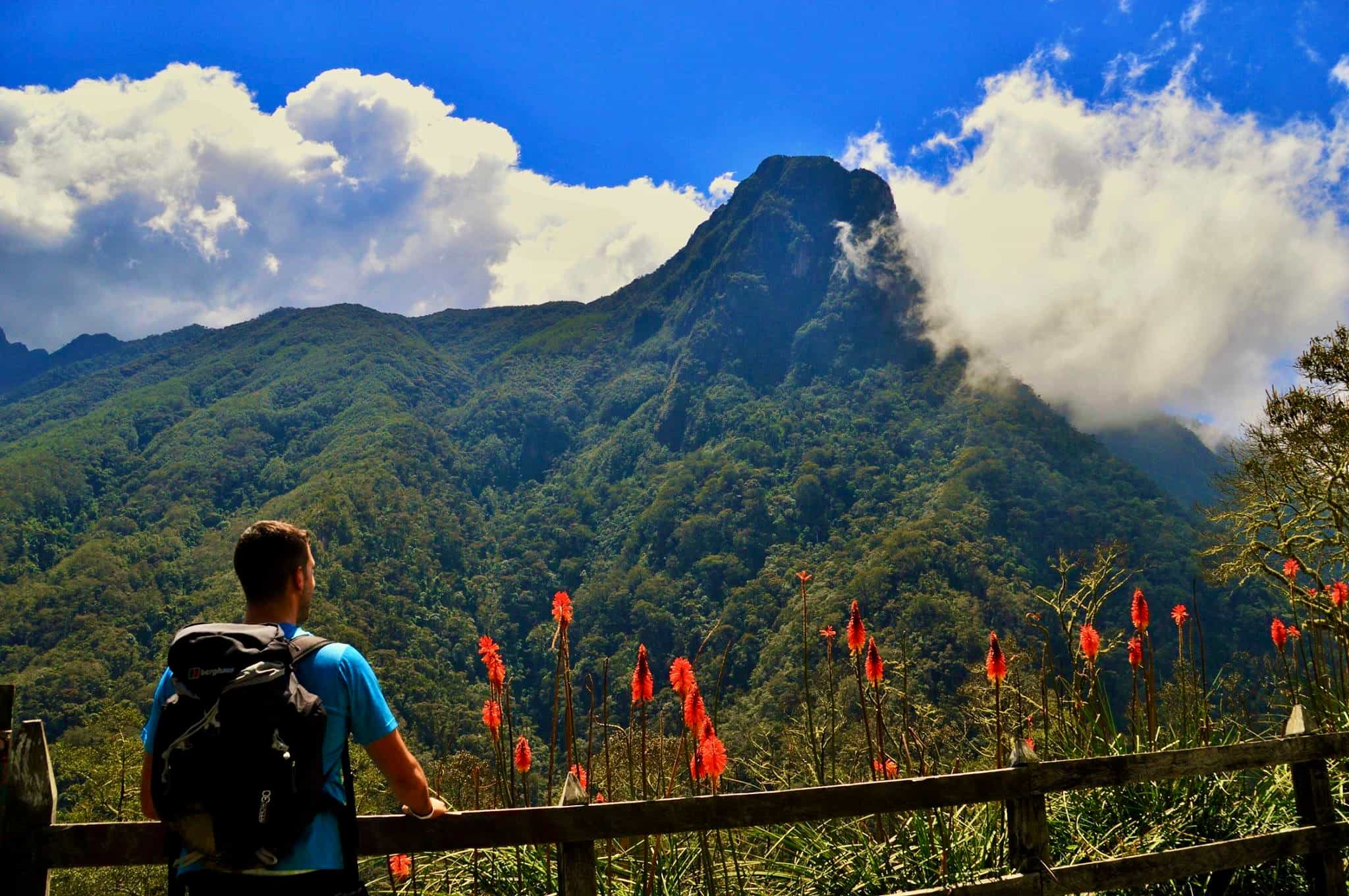 Cocoroa Valley in Colombia. Photo: Marta Marinelli