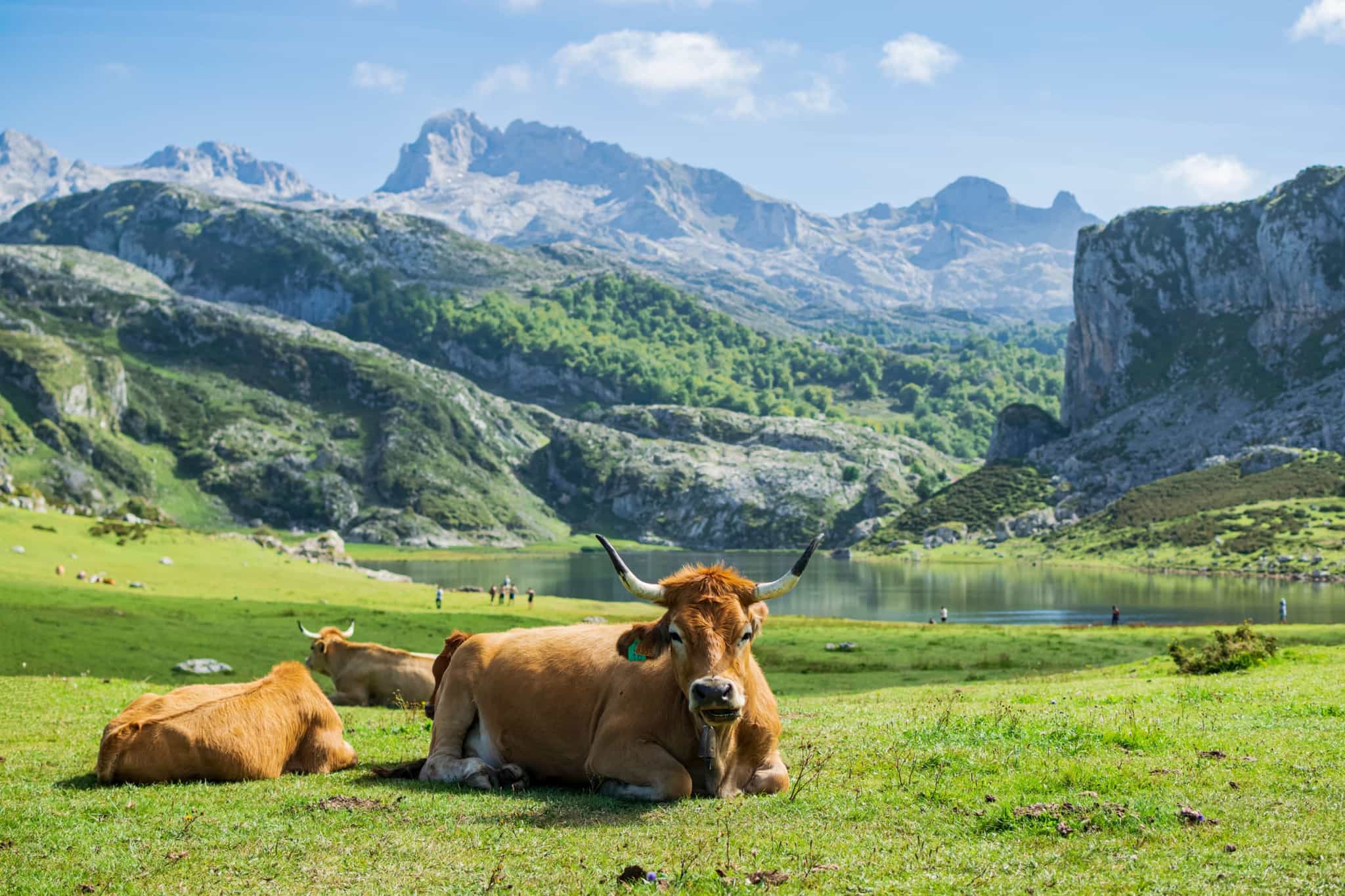 Lake Ercine, Picos de Europa, Spain.
