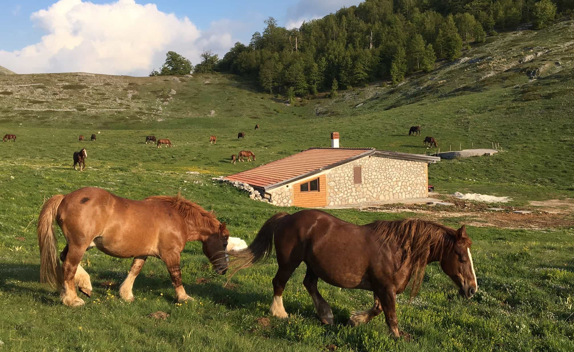 Bisegna Refuge Abruzzo Mountains