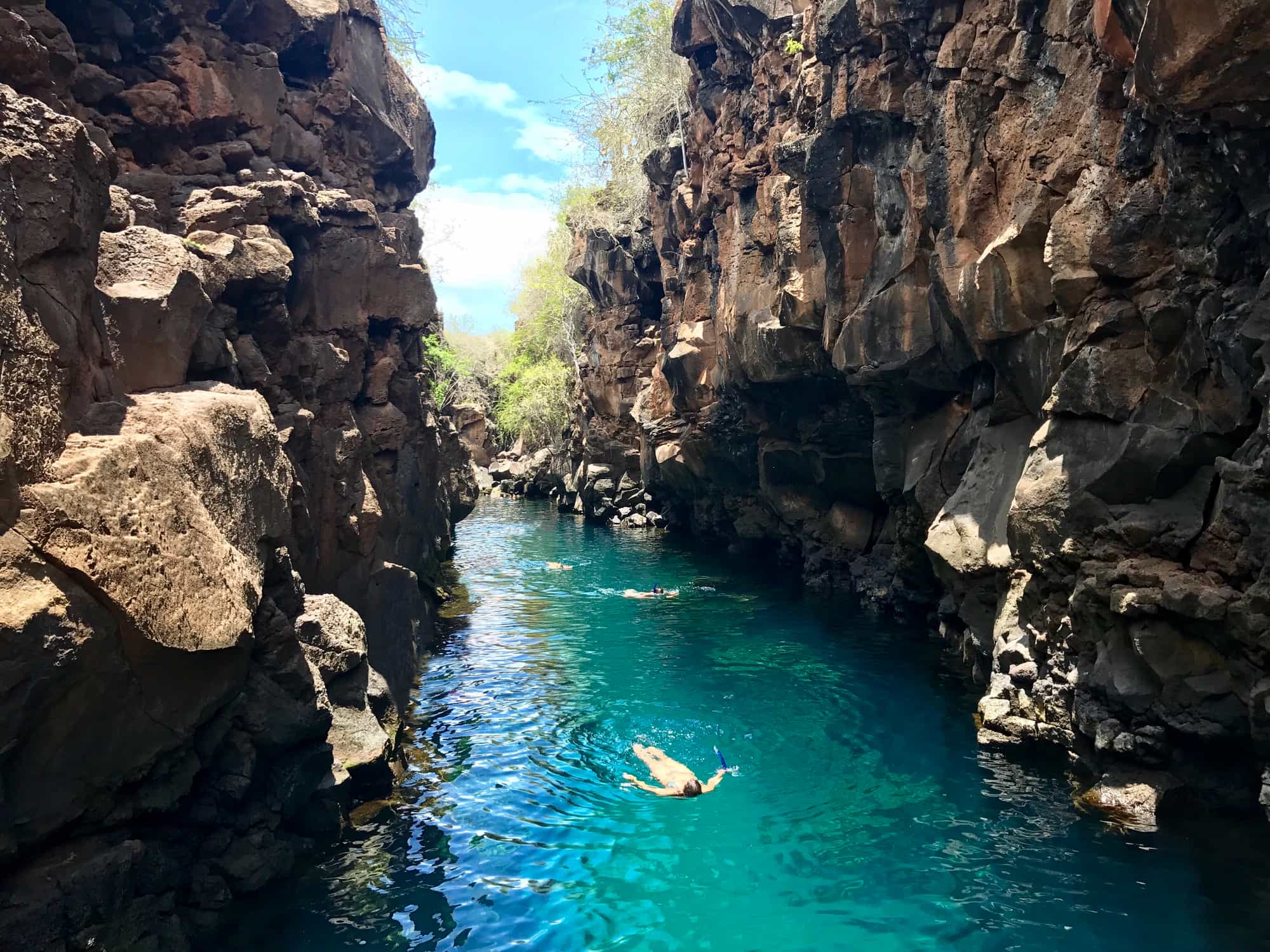 A lady snorkels in a gorge filled with turquoise water in the Galapagos Islands.