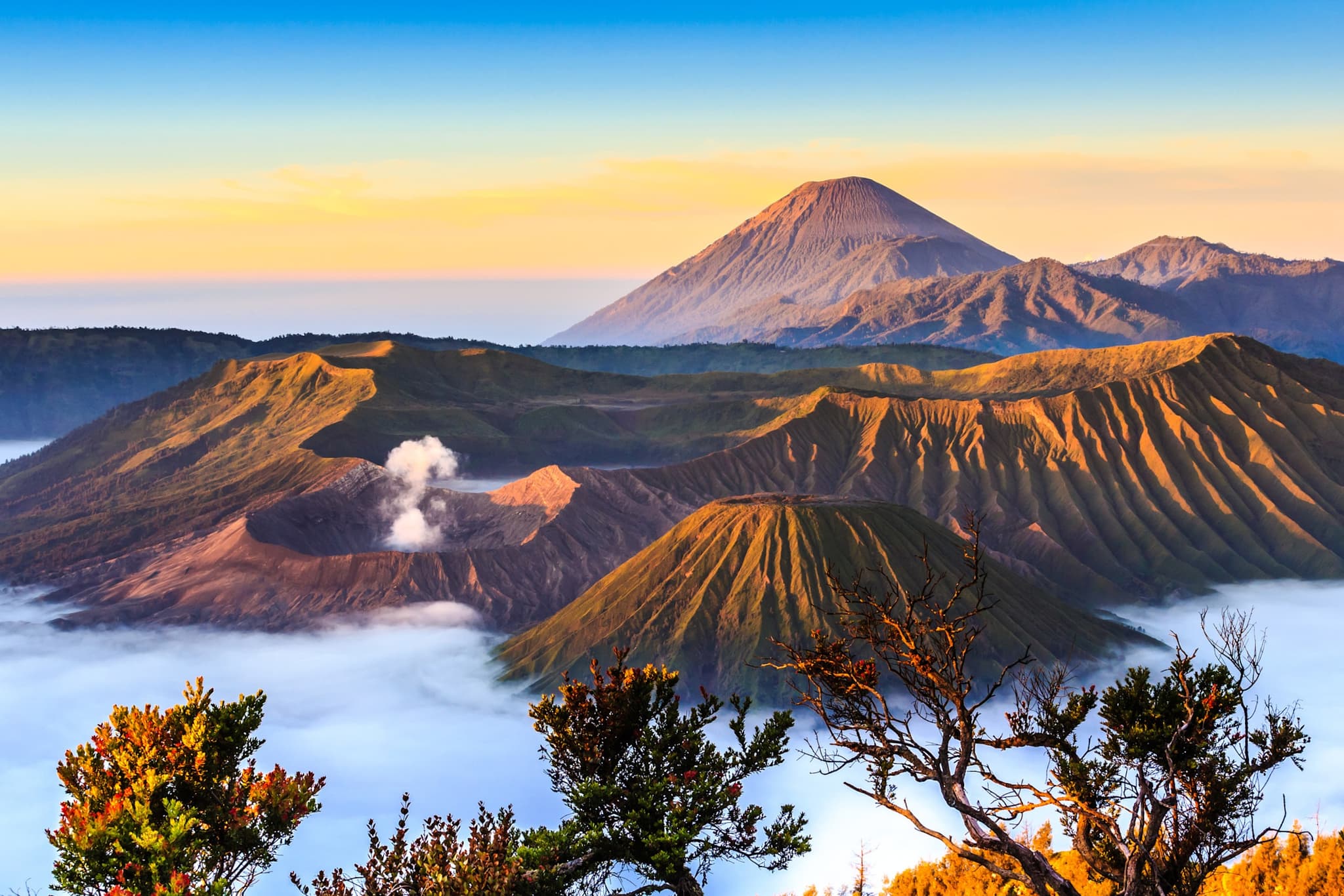 Premium: The Ultimate Adventure in Java and Bali