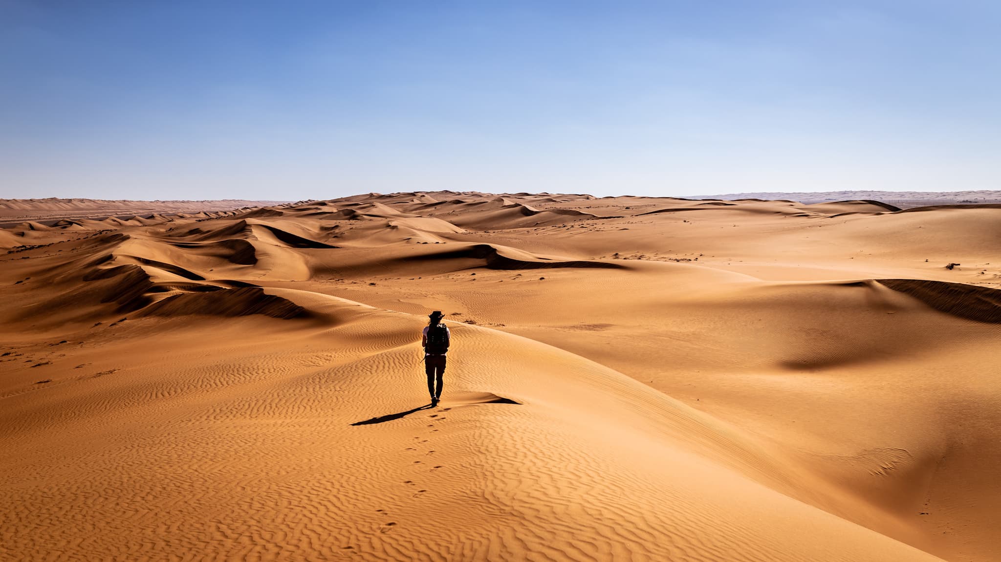 Wild Oman: Journey Through Arabia