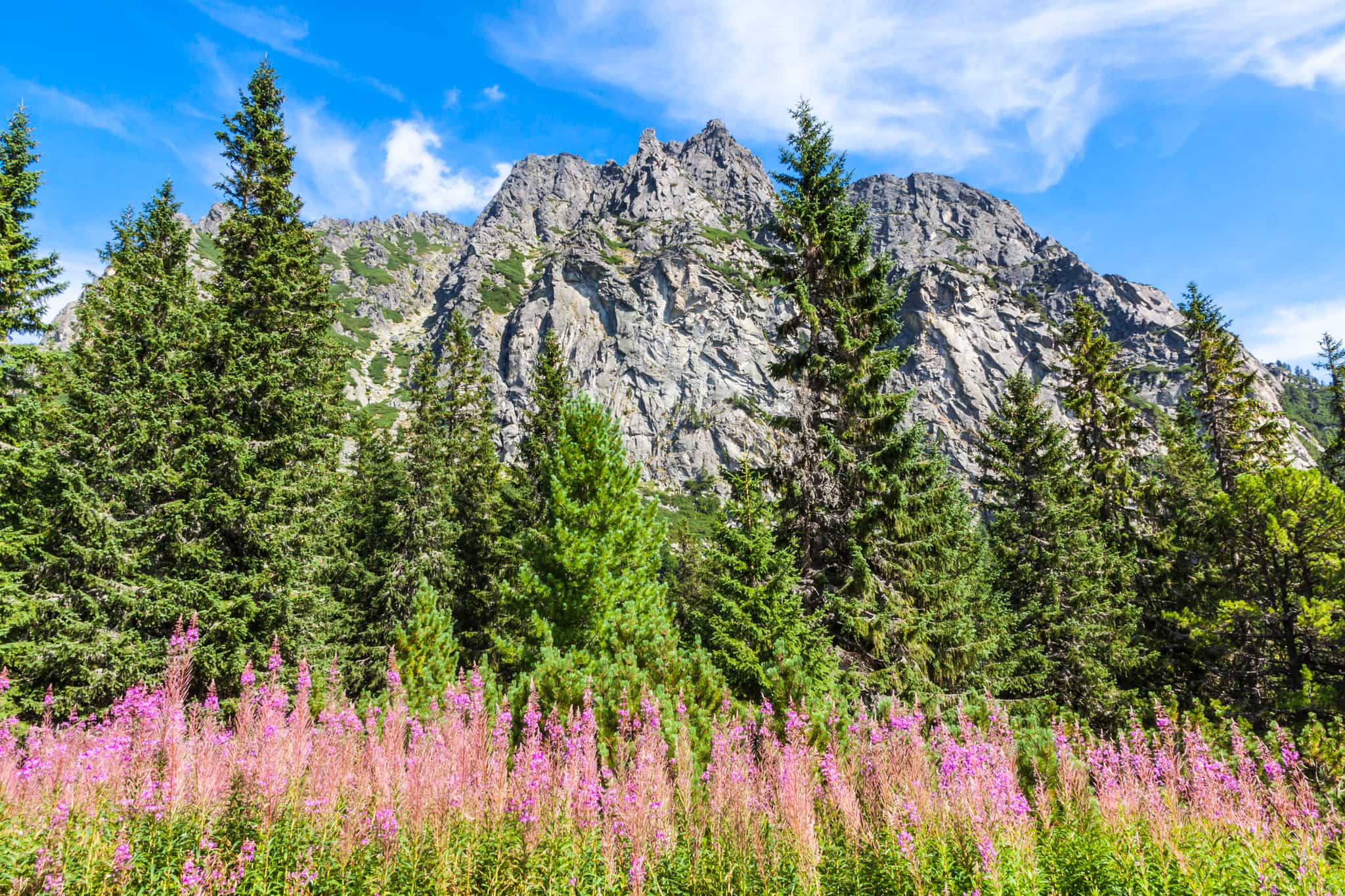 Near Stary Smokovec, Slovakia