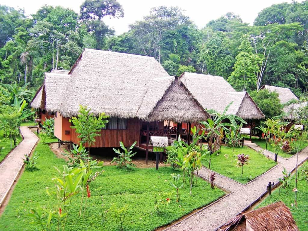 Amazon Jungle Lodge, Tambopata, Peru. Photo Host / Action Treks Peru
