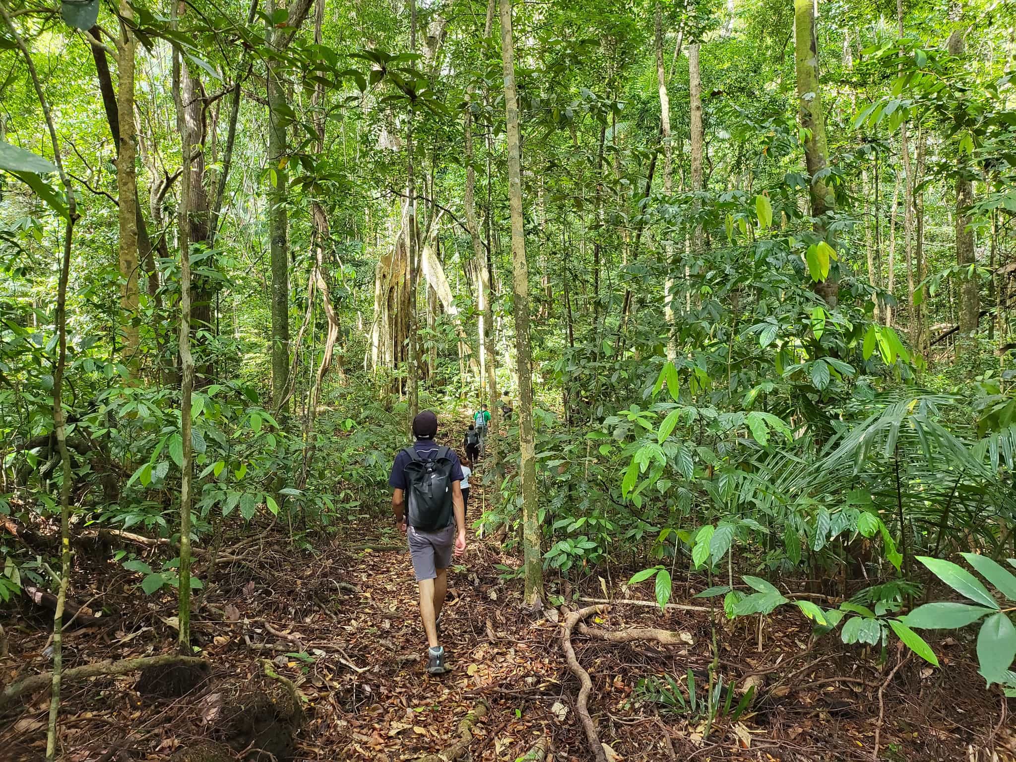 Trek Tanjung Datu NP, Paradesa