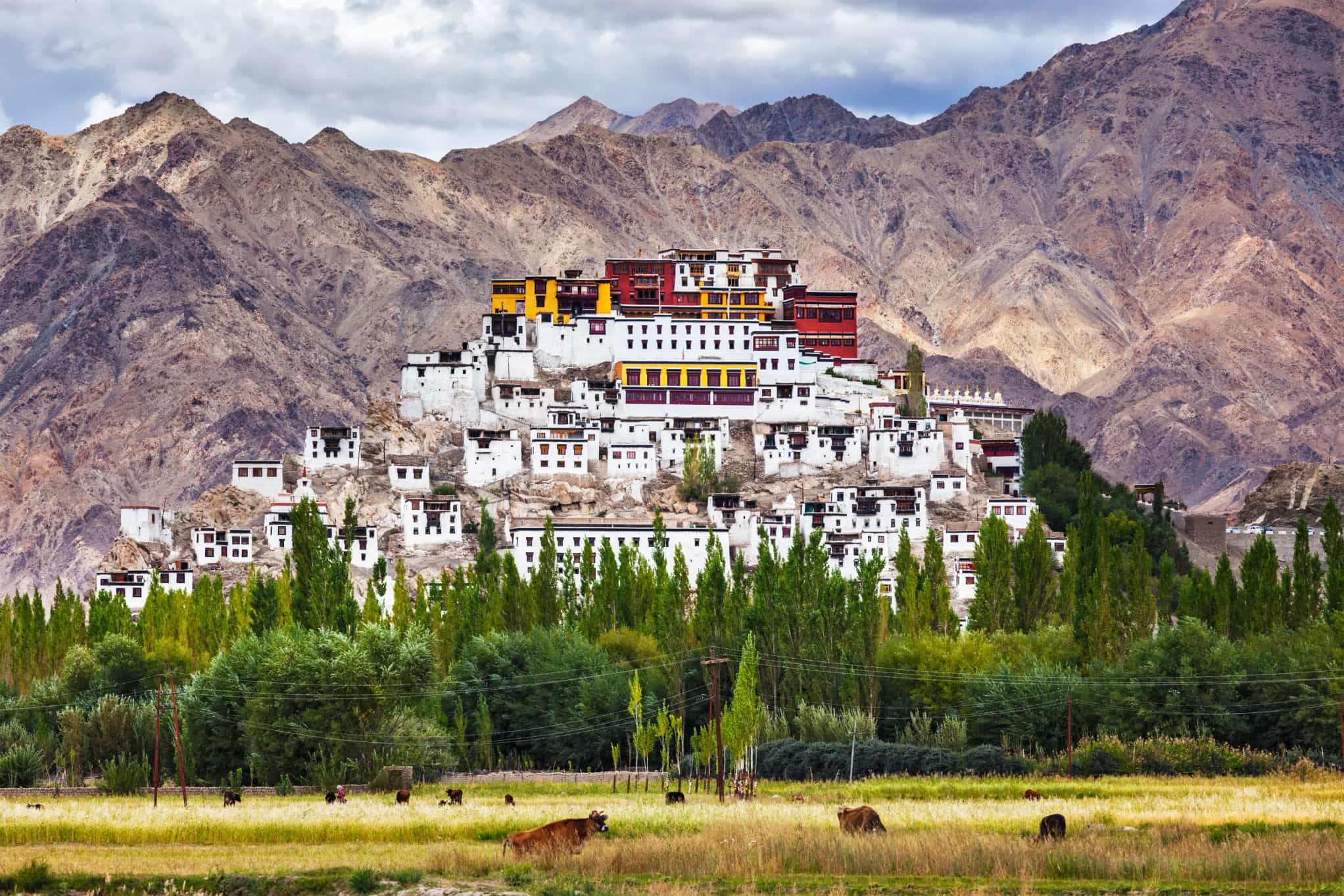 Thiksey Monastery, Leh, Ladakh. Photo: Host/Majestic Ladakh