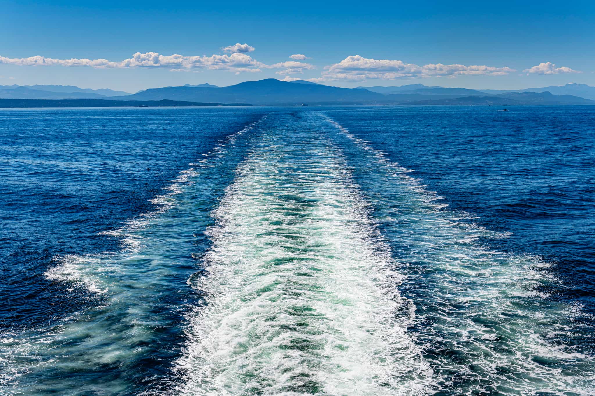 Vancouver Island, Canada. Photo: GettyImages-2153078328