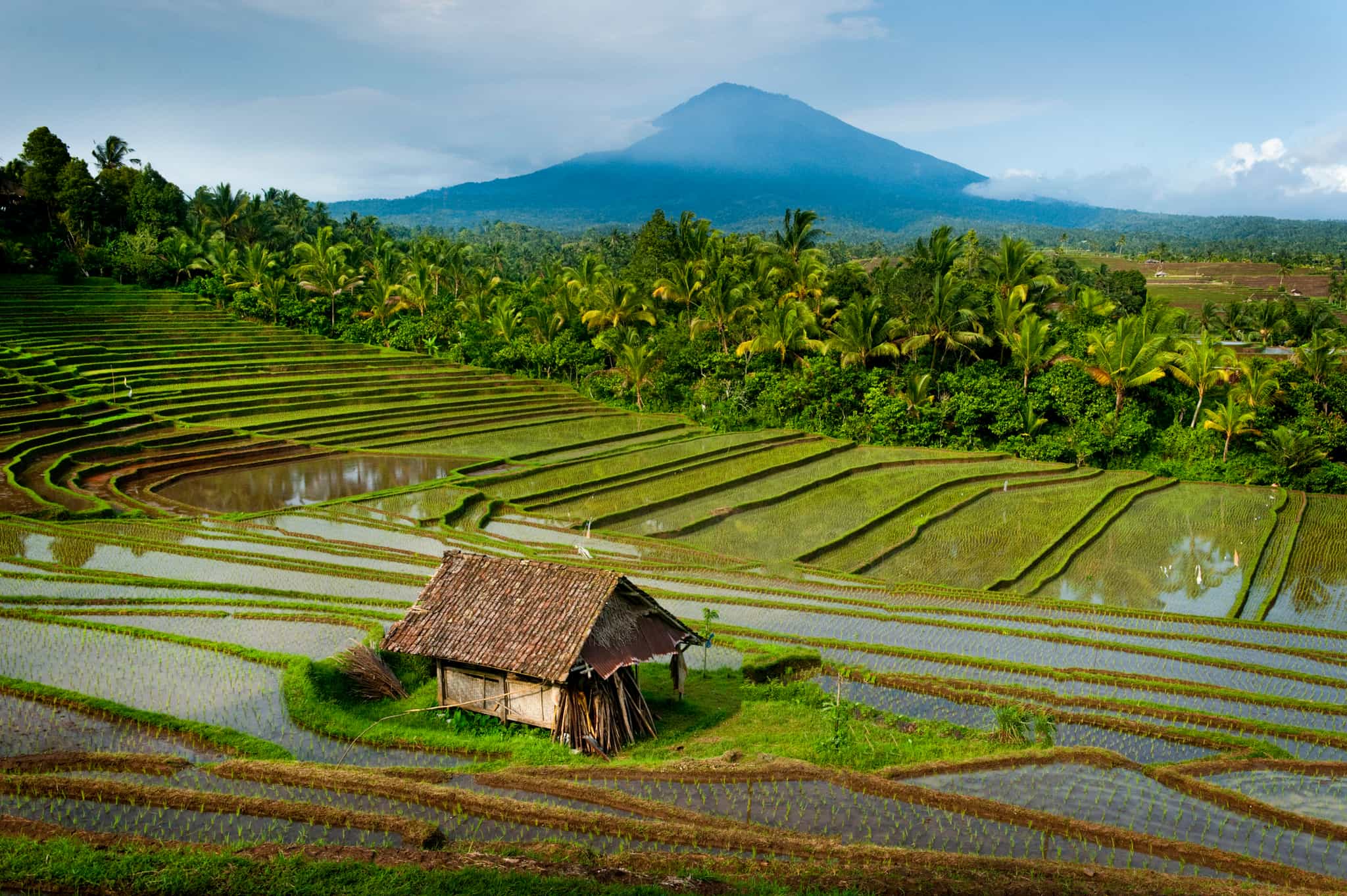 Belimbing, Bali, Indonesia. Photo: Getty 521725301
