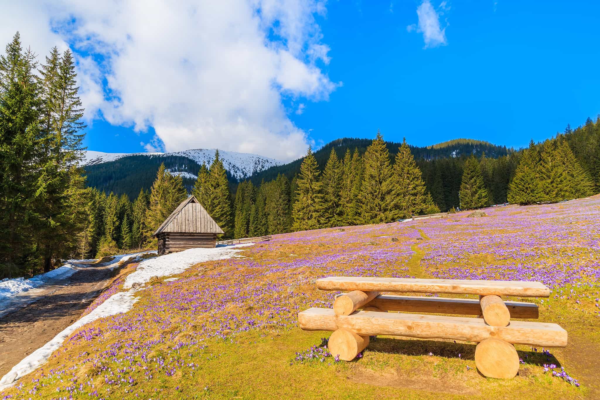 Chocholwska Valley, Tatras Mountains, Poland. Photo: GettyImages-641033682