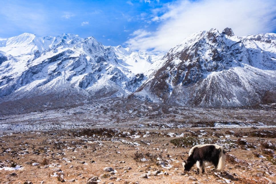 The mountains in Latang National Park. Photo: Getty