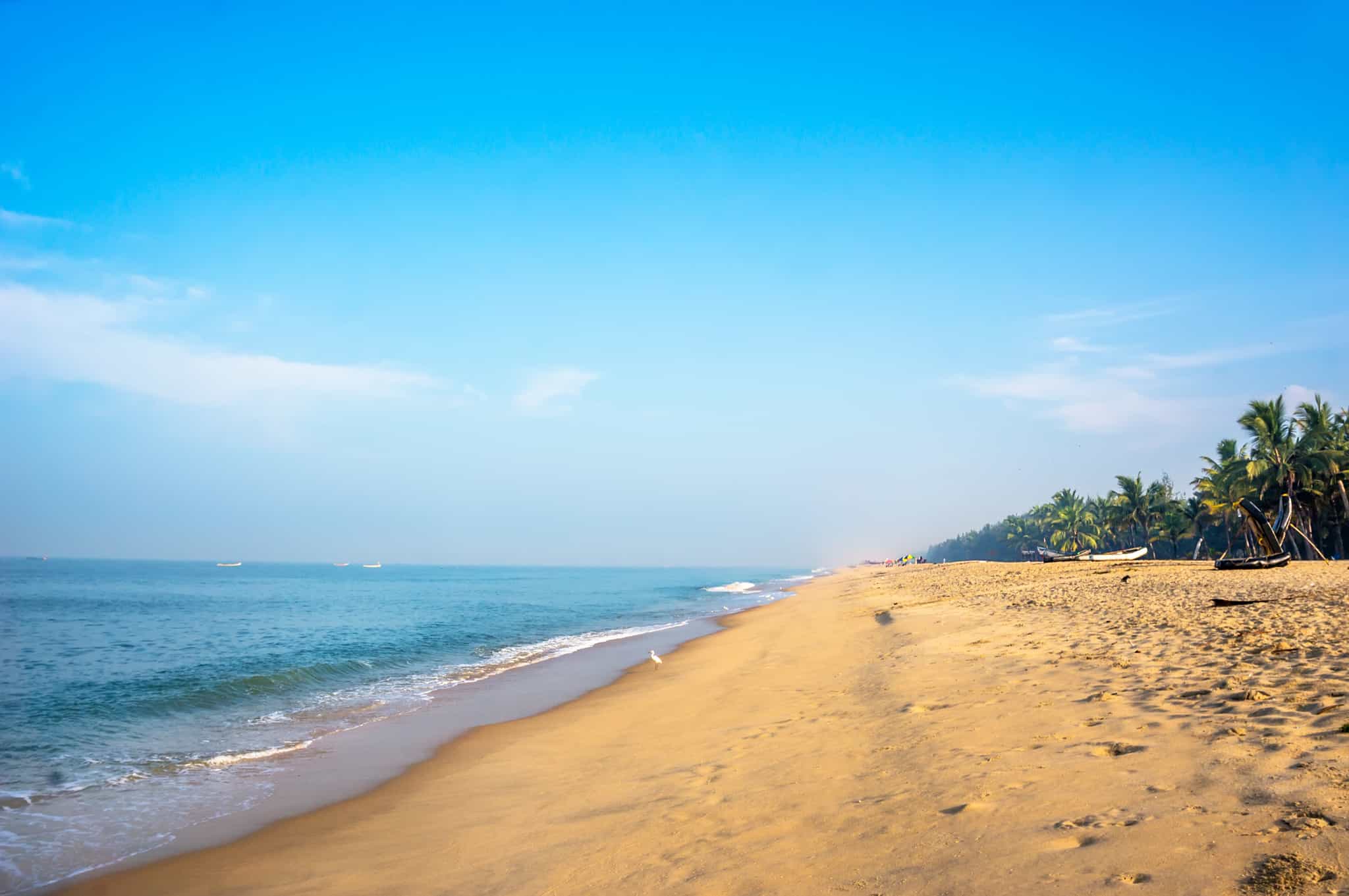 Marari Beach, Kerala, India. Photo: GettyImages-656508850