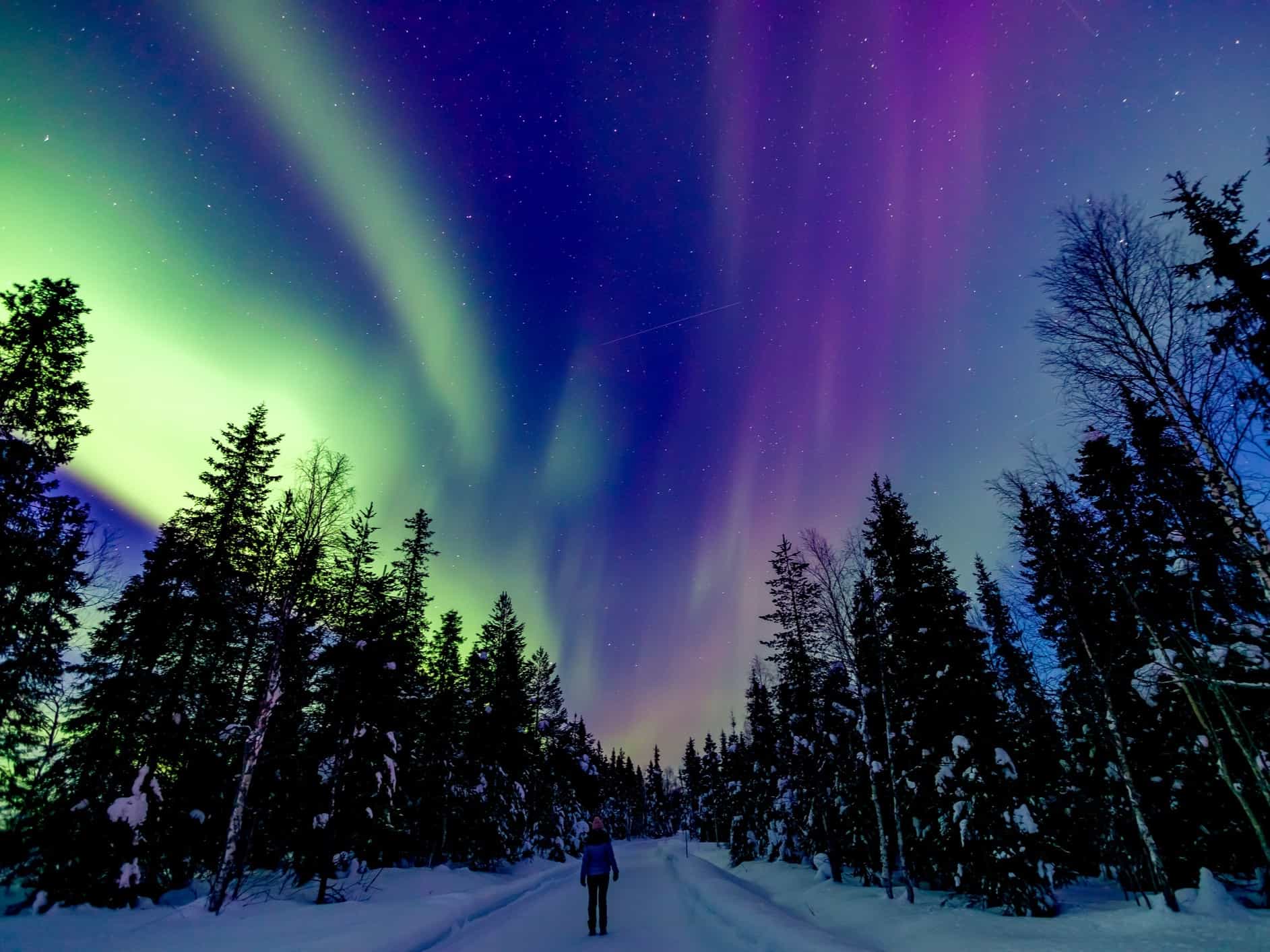 Woman walking under the northern lights, surrounded by forest in Lapland, Finland.