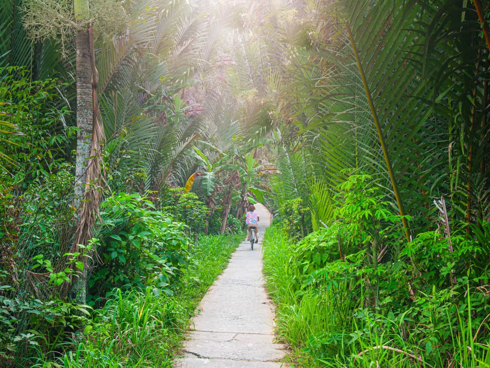 Cycling in the Mekong Delta, Vietnam. Photo: GettyImages-1266320752
