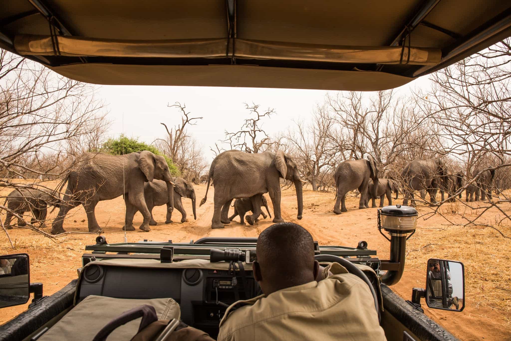 POV of a game drive in Chobe National Park, Botswana