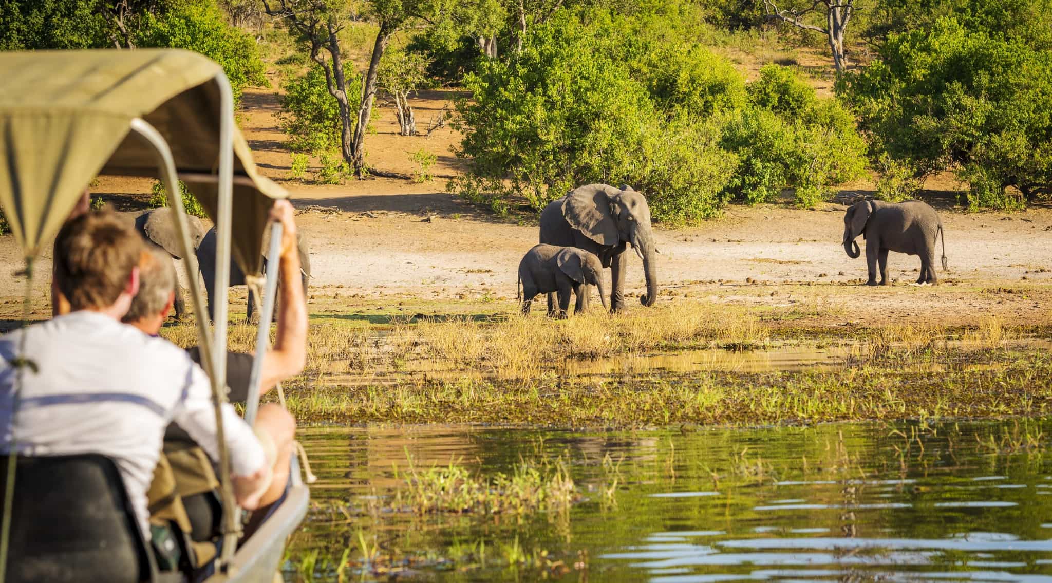 Safari goers on a Chobe River Cruise, Botswana